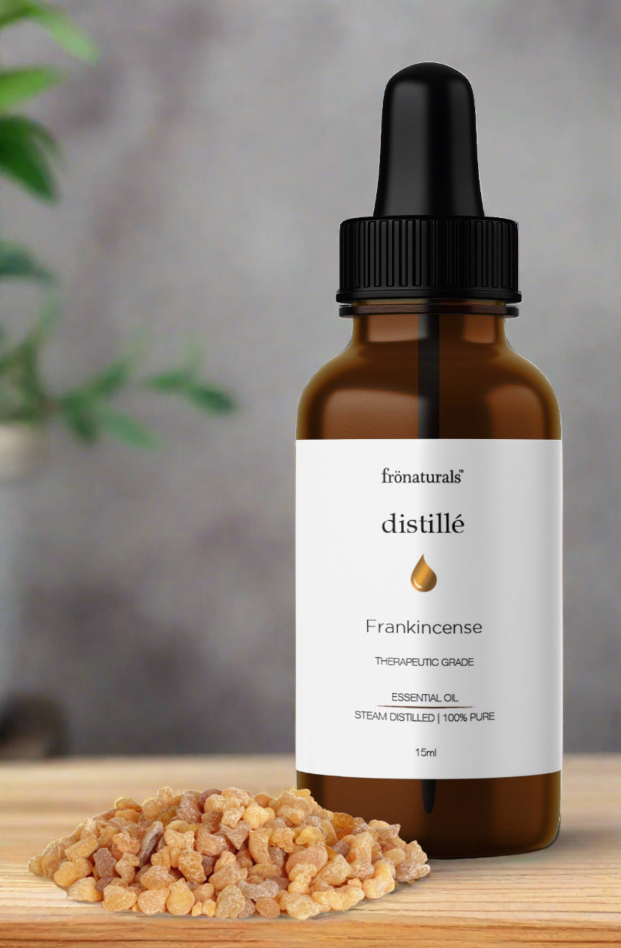 Organic Frankincense Serrata Oil - 100% Pure Essential Oil (15ML)