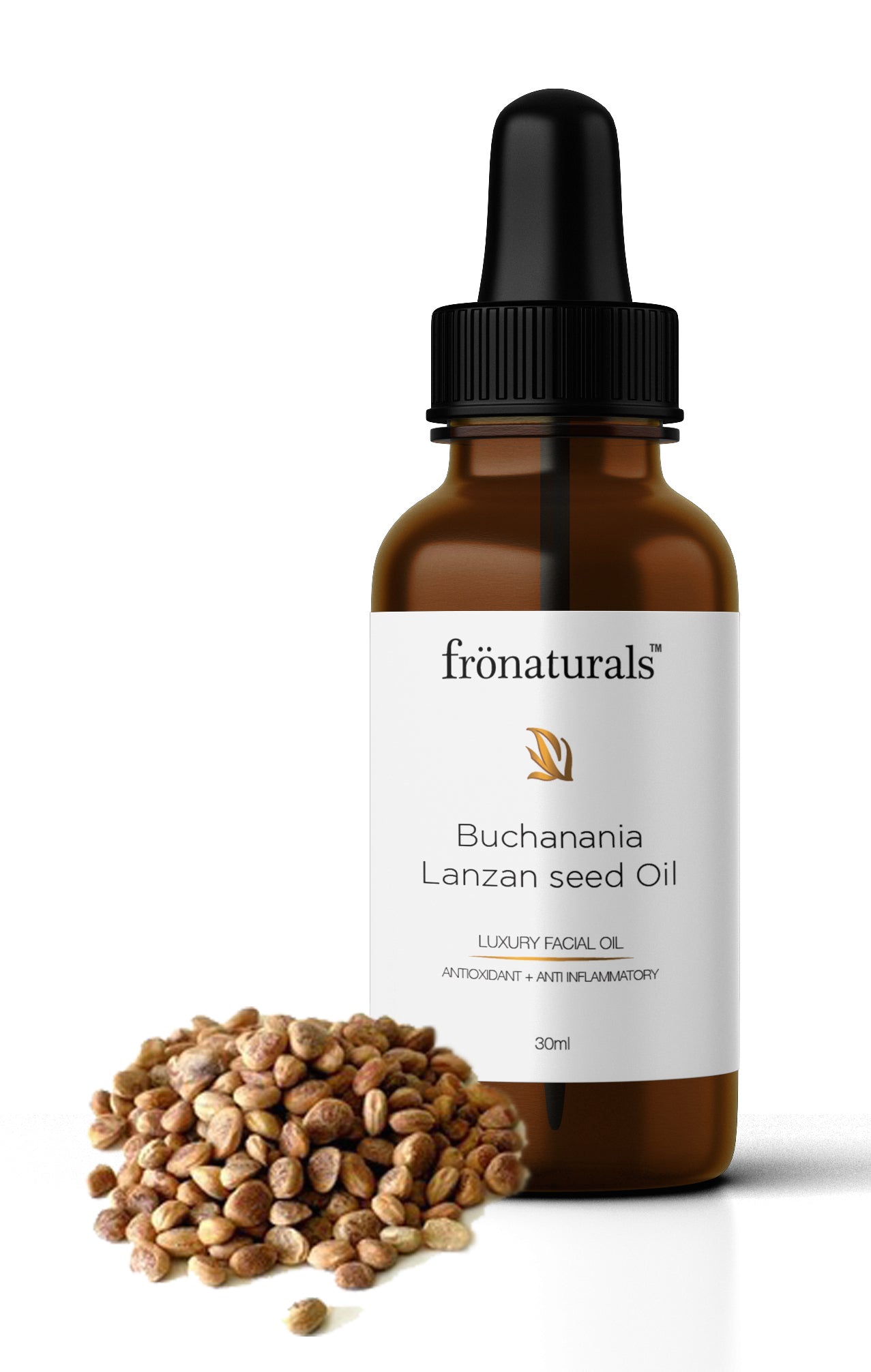 Buchania Lanzan Seed (Chironji) Oil -Cold Pressed - 100% Pure (30ML)