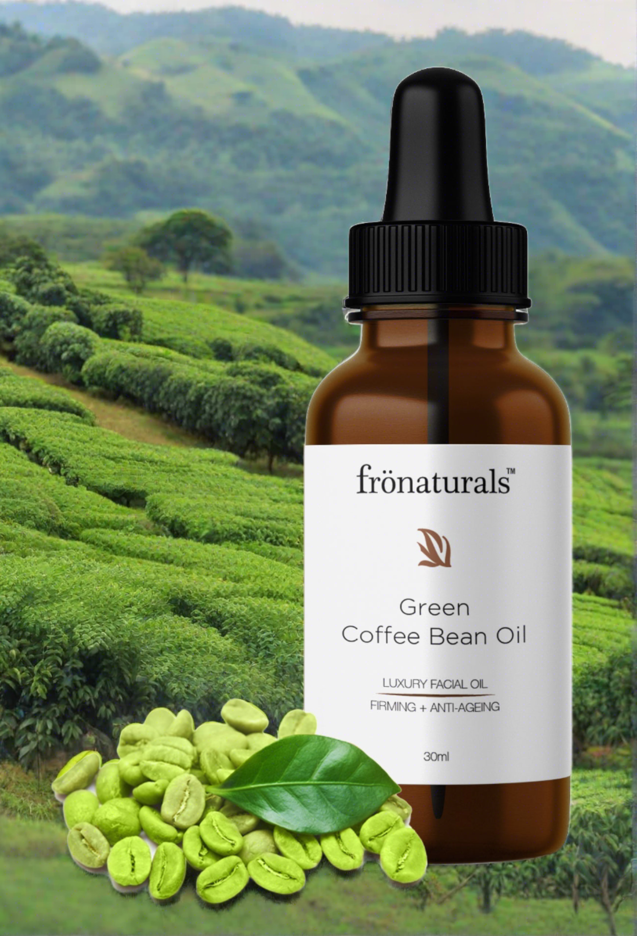 Green Coffee  Oil -Cold Pressed - 100% Pure (30ML)