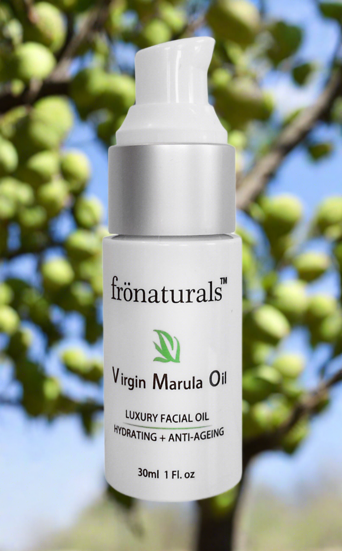 Marula Kernel Oil — Cold Pressed